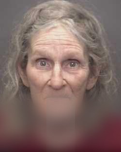 Cheryl Ann Lueder
