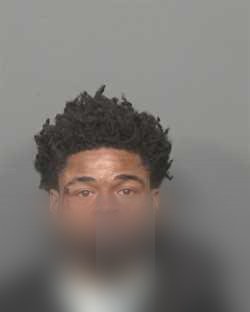Elgin D Griffin