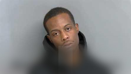 Damon C Melton